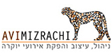 אבי מזרחי